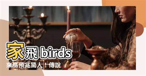 家中 飛 來 鳥|【家裡出現鳥】家裡鳥進來有什麼好兆頭？自來鳥寓意大公開！